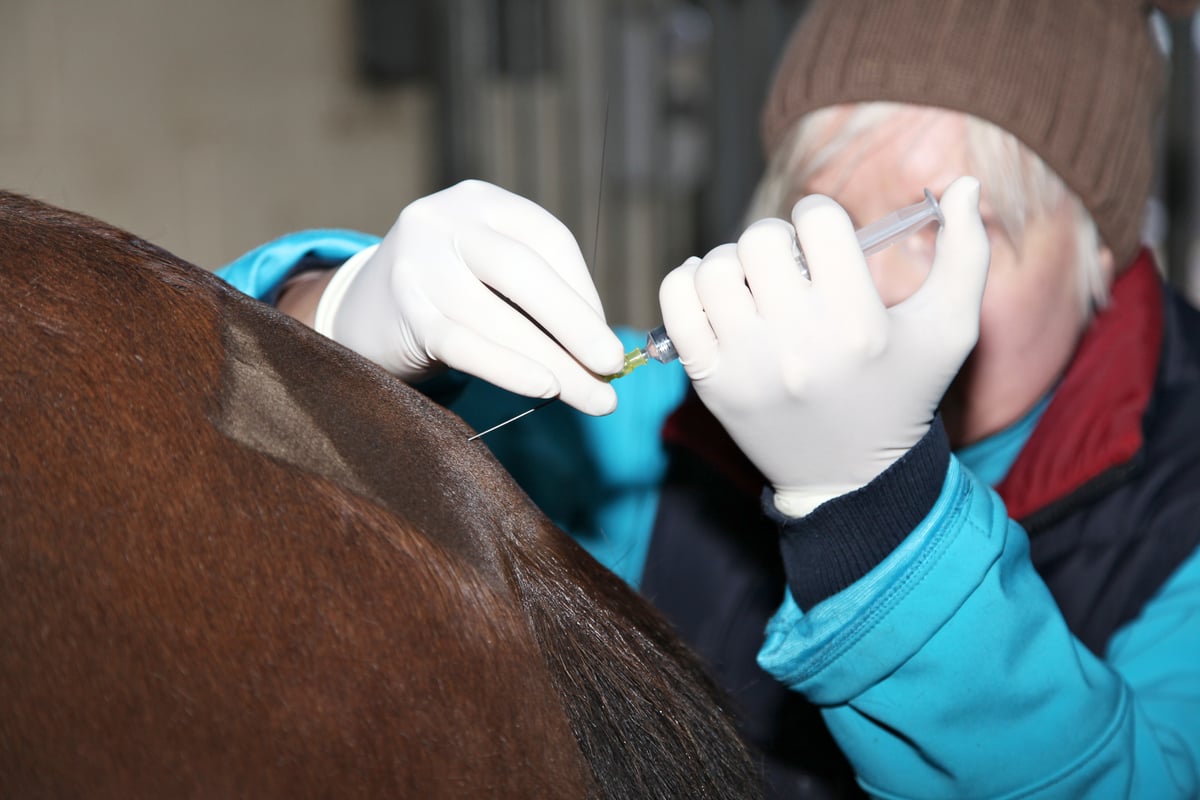 Technique Tuesday Epidural injection/ catheterization